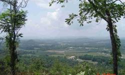 Incredible long range views of Mt Mitchell, Little Pisgah, Mt Pisgah, Sugarloaf and others from this 9 acre estate tract in eastern Henderson County. Several good home sites to build your dream home on. 15 minutes to Chimney Rock, Lake Lure or