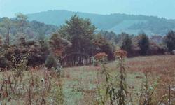35 acre platted subdivision near The Blue Ridge Parkway. Roads roughed in. Several year-round flowing springs. Land is mostly wooded, rolling hills terrain (not steep) all buildable. At least 5 acres of harvest-ready planted white pine is included. Paved,