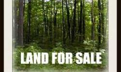 21+- acres of land. Perfect for almost any type business or home. Zoned "Planned Business & Light Industry" with a number of possiblities. Nice country setting on corner. Majority of land is cleared. Only a short distance from the NJ MotorSports