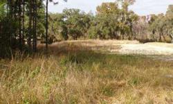 Build your dream home on this river (access to Chain of Lakes) front lot, 1 3/4 acres (approximately. 1/2 acre in wetlands). River connects to Chain of Lakes.Listing originally posted at http