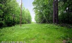 6.7 ACRES ON ARROWHEAD LAKE ON THE WHITEFISH CHAIR with 230+ of shoreline. Beautiful private lot waiting for you to build your new lake home. Enjoy the tranquility of being on the lake and have access to the whole Whitefish Chain. This is an affordable