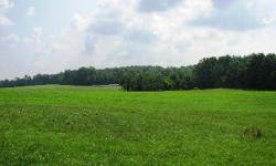 136 +/- Acres with pond. 60 acres of this scenic land is open and is a great location for corn. The balance is wooded. Would be a beautiful spot for a home with water and electric on-site and scenic views of the fields. Property would also make a nice