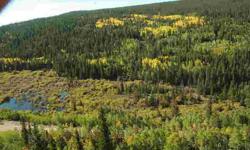 BRAND NEW LISTING, MORE DETAILS TO FOLLOW NEXT WEEK! Tarryall Creek flows thru for almost 1 mile. Easy access on a well maintained County Road, just above Como, Colorado. Backs directly to the Pike National Forest on most of its boundaries. Thick forests