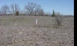 Nice sandy lot to build home on. Enjoy association access to Lake Allegan. Restrictions apply-one story homes shall have a min of 1150 sq. ft. & two story homes shall have a total livable space not less than 1500 sq.ft. of livable space excluding garages,