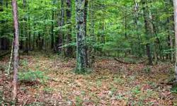 Here you go! Five acres of secluded, beautiful, wooded sloping land that is perfect for a private residence with easy year access! Buyer may be able to work out a deal with adjacent landowner to use existing road to property! Buyer/Buyers agent to verify