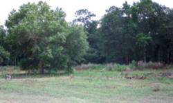 Great location for your home. Just minutes from Ludowici, Glennville and Hinesville. No dirt road because property is on Highway 301. Two lots available. Bring your mobile home or builder will build to your plans.
Listing originally posted at http
