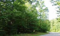 Build on this quiet and wooded street bordering the West edge of the one of a kind Portage Ridge at Onekama neighborhood. Native hemlock provide year round beauty after the beech, maple, birch and oak have dropped their leaves. Wooded on the road side for