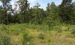 8/6/2012 1.17 Acre Lot on Hwy 225. Over 300' of road frontage. City water and Paved Frontage. Great for homes or Mobile Homes. Large Trees. Great potential.Listing originally posted at http