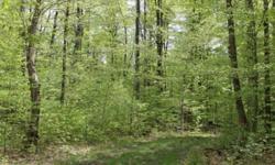 NEW YORK HUNTING LAND FOR SALE ----- Get lost in the backwoods and build your hunting camp away from everybody and everything! Access to 624 acre Hogsback State Forest and Lewis County trail system. Great bear, whitetail, turkey and grouse hunting. Gated