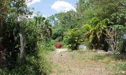 CLOSE TO SHOPPING AND NAPLES BOTANICAL GARDEN. LAUNCH YOUR BOAT AT BAYVIEW PARK. CLOSE TO DOWNTOWN & BEACHES. Close to shopping center and restaurants. Ready for your manufactured home. Trees in the back of the property provide privacy.
Listing originally