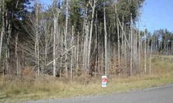 Lot #15 located on a Cul-De-Sac in Twin Ponds Sub-Division of Mohawk Highland. Mostly wooded, adjacent 6.3 acre lot also available if more land is desired. Electricity available. Build your dream home here...Additional photos and information available