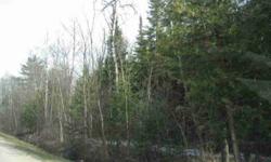 Investment property or build on this wooded 8.11 acres. Electric at the road,city water and sewer.Low taxes! Property is located heading out of Wausaukee on VanBuren Ave before it turns to Jamros. Great Investment or build on this Wausaukee Village 8.11