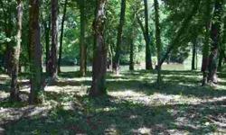 Beautiful recreational lot on Horse Creek! Electricity and city water available. County roads, community boat ramp, min restricitions, Conveniently located. Owner/Agent
Listing originally posted at http