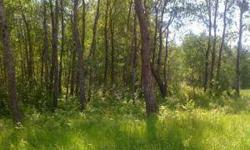 Beautiful wooded lots less than 10 minutes from Bemidji.Listing originally posted at http