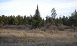 Don't miss out on these wooded building lots only minutes from Bemidji. Lots of wild life. Building packages available.Listing originally posted at http