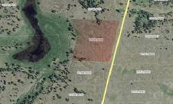 Amazing opportunity to own 1 or up to 7 parcels at a great value on a paved road near the lake. Power and phone across the street.Listing originally posted at http