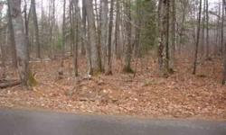 GREEN BASS ROAD LOT - Well wooded level lot located in the heart of numerous lakes and public lands. This well priced building lot is just what you need for your getaway property. Utilities are at the paved town road, underground electric and phone. Just