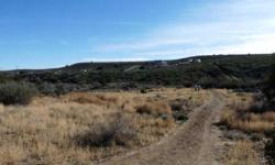 Rectangular lots near bensch ranch. Beautiful mountain views, newer built homes and room to roam.