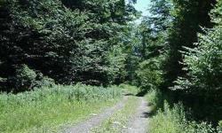 19.8 Acre wooded parcel located on Lower James Rd. in the Town of Salisbury, Herkimer County. Property is just outside the Adirondack Park boundry and offers great recreational opportunities. Land is wooded and is crossed by a small creek. Woods are a