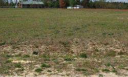 -A beautiful lot in Springfield Subdivision (just off of Nicholson Rd). Great homesite!!! Build your dream home on this lot of over an acre of land. Modular and manufactured homes are fine.
Listing originally posted at http