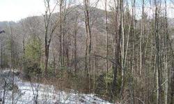 GENTILE LAYING PROPERTY WITH GREAT MOUNTAIN VIEWS (SOME TREE TRIMMING NEEDED) NICE HARD WOODS AND LEVEL YEAR ROUND ACCESS. VERY QUIET AND PEACEFUL, CAN BE PURCHASED IN SEPARATE LOTS OR ONE PIECE.
.40 ACRES $14,900, .76 ACRES $19,900, 2.00 ACRES $29,900,