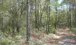 Bring your Builders! This Live Oak gated community homesite includes paved streets, curbs, gutters and streetlights. The level, partially wooded lot is suitable for building your custom dream home. Located close to the Intracoastal Waterway, Lockwood