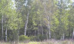 Nicely wooded lot of 8.95 acres great for building a homeListing originally posted at http