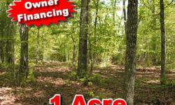!! Owner Financing. $495 DOWN PAYMENT PROMOTION, $186 per month. Located 10 minutes from down town Cleveland, Ga. We have 3 to 5 acre tracts to choose from. Property has rolling hills with beautiful mountain views. 40 year old mature hard woods. Power,