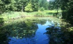 This five acre parcel has a private driveway and is located on a paved road with access to power on a quiet, farm pond and has an ?Adirondack-feel? with stands of pine forest and white birch. Build a country home or camp and enjoy the multitude of geese