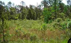 Building lot with rural water service and electric service within 3 miles of town off of county road, fairly level, partially wooded with oak and pine. Ready for that new house.
Listing originally posted at http