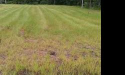 Vacant land in Baldwin cleared and ready to build your new home!Listing originally posted at http