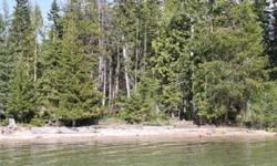 RARE FIND!!! 100' deeded Priest Lake waterfront lot. Close-in location just S of Steamboat Bay. Flat level lot with evergreen and deciduous trees. White sandy beach. Shallow lake bottom for wading. Long dock required to reach navigable waterr at summer
