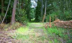 Wow, what an opportunity to develop this great location in the heart of Central Kitsap. Located on McWilliams Road just west of Old Military Rd, this 29.29 acre plat is waiting for development. The existing home could be used as head quarters for the