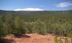From Mesa to Meadows to Canyons, this 1405+ Acre Property offers 2 well locations with power, access from gravel roads, natural springs, several turn of the century home sites and portions of the property abuts National Forest land. Enchanting and