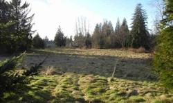 Contact agent for full marketing prospectus. The Patey Subdivision is an undeveloped, approved preliminary plat in the City of Marysville on 38.95 acres. This subdivision proposes creation of 151 fee-simple lots of detached single-family residences with