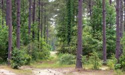 Price Recently Reduced to $1,200,000. Don't miss this one!Beautiful 500 acre tract of South Arkansas land for sale as timber land, hunting land, recreation land, or investment property. This property seems to have everything you could possibly need or