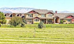 Stunning custom home on 5 acres in the foothills with gorgeous views! Incredible finish detail and quality throughout. Fabulous Great Room, Dining Room and Chefs Gourmet Kitchen with every amenity. Luxury Master Suite. Professional Office with private