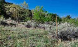 Raw land on upper canyon road with an active acequia running through it.