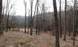 Land opportunity 46 ac +or - of unspoiled land in Washington Ct. About 600 feet of road frontage on dead end road. Private yet close to town. Trails and roughed in road runs length of property. Stone walls. Long views. Have land survey. Abuts land trust.