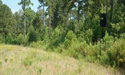 This 905 acre property is located at the end of Fields Bridge Road in Bishopville, SC. This land features 905 acres of prime hunting land with four miles of frontage on the scenic river section of Lynches River. There are three storage containers and two