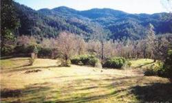 920 acres of the most beautiful undeveloped land two hours north of San Francisco in Lake County. Located in a canyon in the upper Mayacamas mountain range near downtown Middletown, this jewel, consisting of two contiguous parcels borders hundreds of