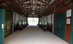 -5 acre beaautiful equestrian facility Belle Meade Ranch. Prime location adjacent to Picayune Strand forest with miles of trails, 10 stalls, 12x12 barn built in 2008, riding arena 90x200, sprinklers, round pen, updated modular home, AC Tack and Feed