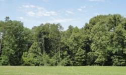 Tax records has acreage recorded under 825 Freels. This is a 19.40 acre portion of that property with street access to Mill Stone Lane. See Survey in assets. Wonderful Subdivision opportunity near West Valley Middle School and George Williams. Taxes