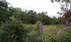 LARGE TRACT OF LAND NEAR LAKE JACKSON PERFECT FOR RANCHING ACTIVITY AND RESIDENTIAL HOME SITE. SMALL LAKE ON PROPERTY BEAUTIFUL TREES. DEED RESTRICTIONS SUCH AS USE MUST BE NON-COMMERCIAL, NO COMMERCIAL HOG OR CHICKEN FARMING, NO MOBILE HOME OR MODULAR