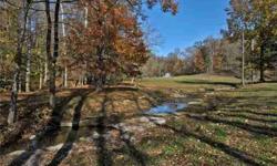 140 ACRE GATED RETREAT ONLY 20 MINUTES FROM DOWNTOWN NASHVILLE, LARGEST CAVE IN DAVIDSON COUNTY W/ROARING SPRING, 3 RENOVATED HOMES INCLUDING GUEST & CARETAKERS NESTLED IN A SERENE VALLEY, WONDERFUL VISTAS OVERLOOKING THE HARPETH,GORGEOUS HARDWOODS