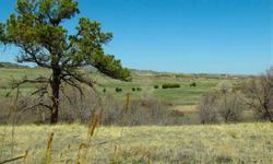 Water Rights inlcuded. 3 adjacent 35 acres parcels totaling approximately 107 acres (one is a few acres larger) Sold together or individually. Willow Creek runs through the gently rolling hills, mature trees, forever mountain views. 15 min to Castle Rock,
