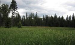 Incredible property! Meadow, Timber with Patterson Creek & access to State & Forest Service land. Serene setting with abundance of wildlife in a very private setting. A perfect place to call your Montana home.Listing originally posted at http