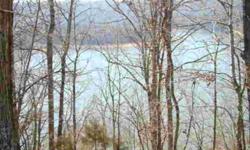 In an amazing little corner of our world and boasting million-dollar views, this 103 rolling acreage tract provides over 6000 feet of water frontage on majestic Center Hill Lake. The treasure of beautiful views plus the ultimate privacy of this offering