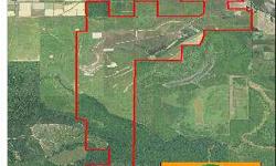 Tract offers excellent hunting for deer, duck & small game. Turkey hunting opportunities, too. Camp w. utilities and 40'x40' shed. Made up of 10 year old hardwoods in WRP program, shallow water areas w. water control structures & two 8" wells and mature