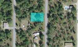 80'x120' Homesite Lot for sale. Paved roads and houses in the area. Quick deed transfer. Will accept paypal or certified check.